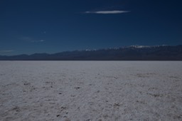 _DSC0585