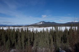 _DSC0738